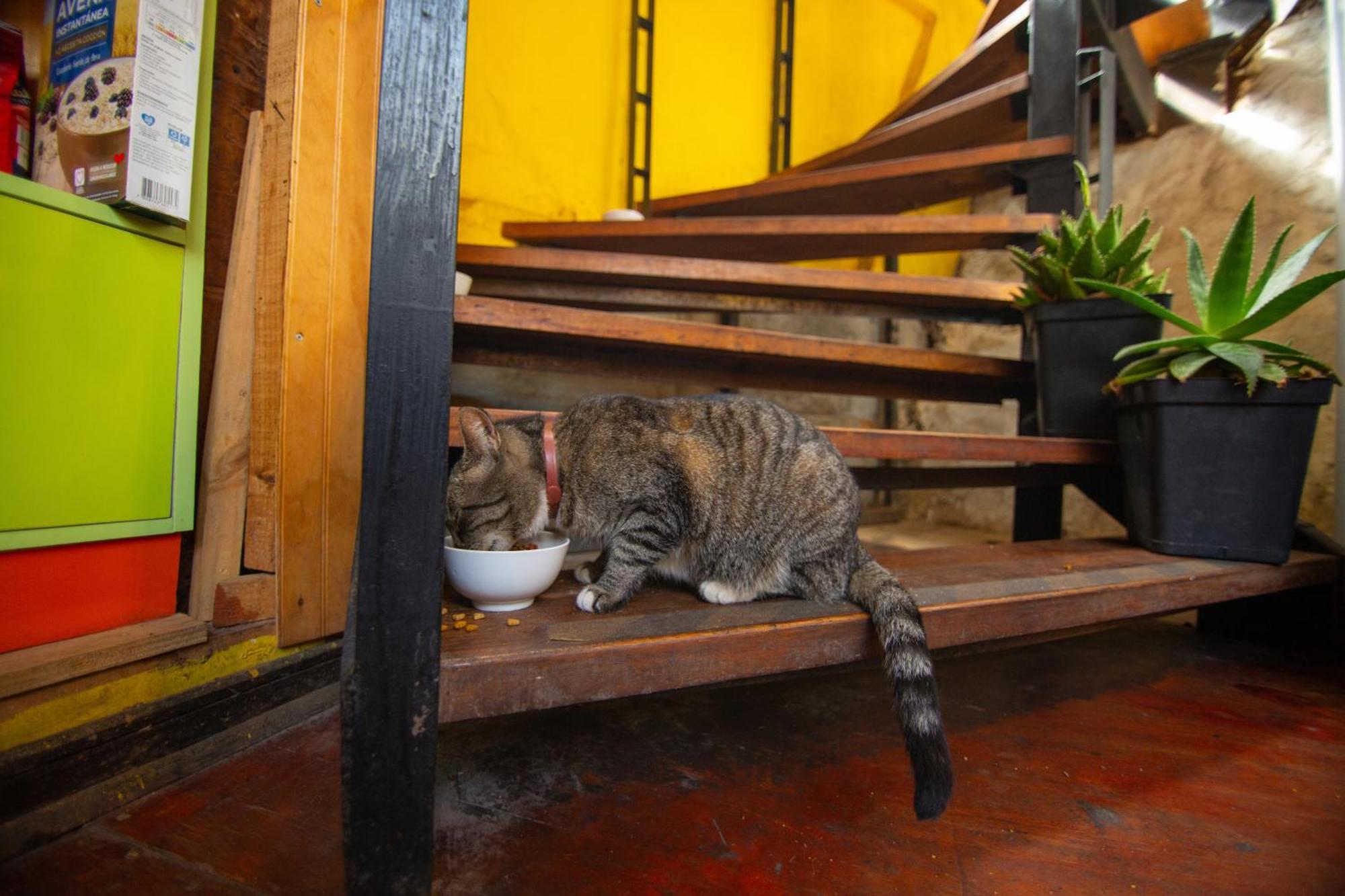 La Casa Del Puerto, Hostal Cultural, Cerro Alegre Valparaíso Εξωτερικό φωτογραφία
