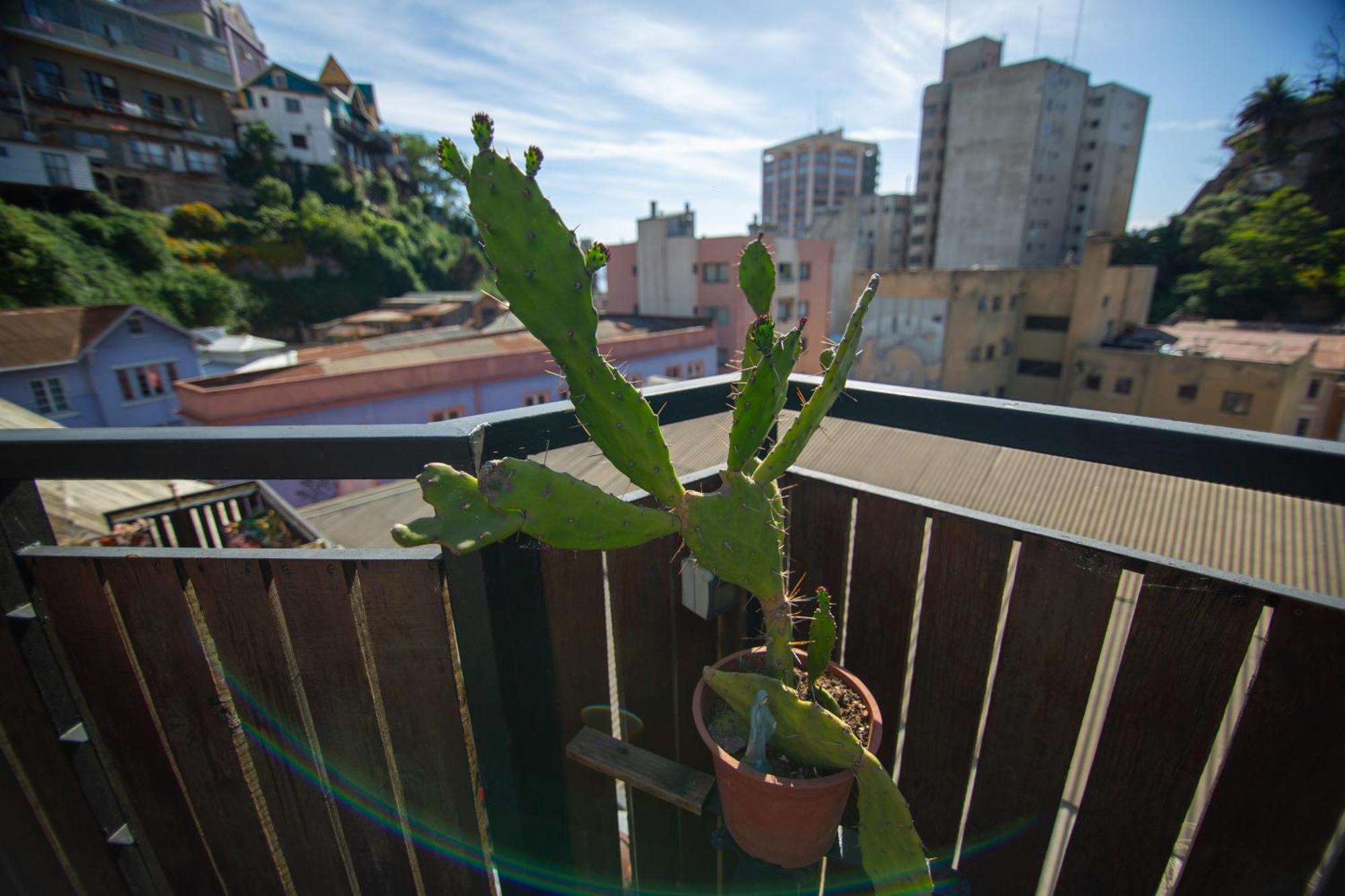 La Casa Del Puerto, Hostal Cultural, Cerro Alegre Valparaíso Εξωτερικό φωτογραφία