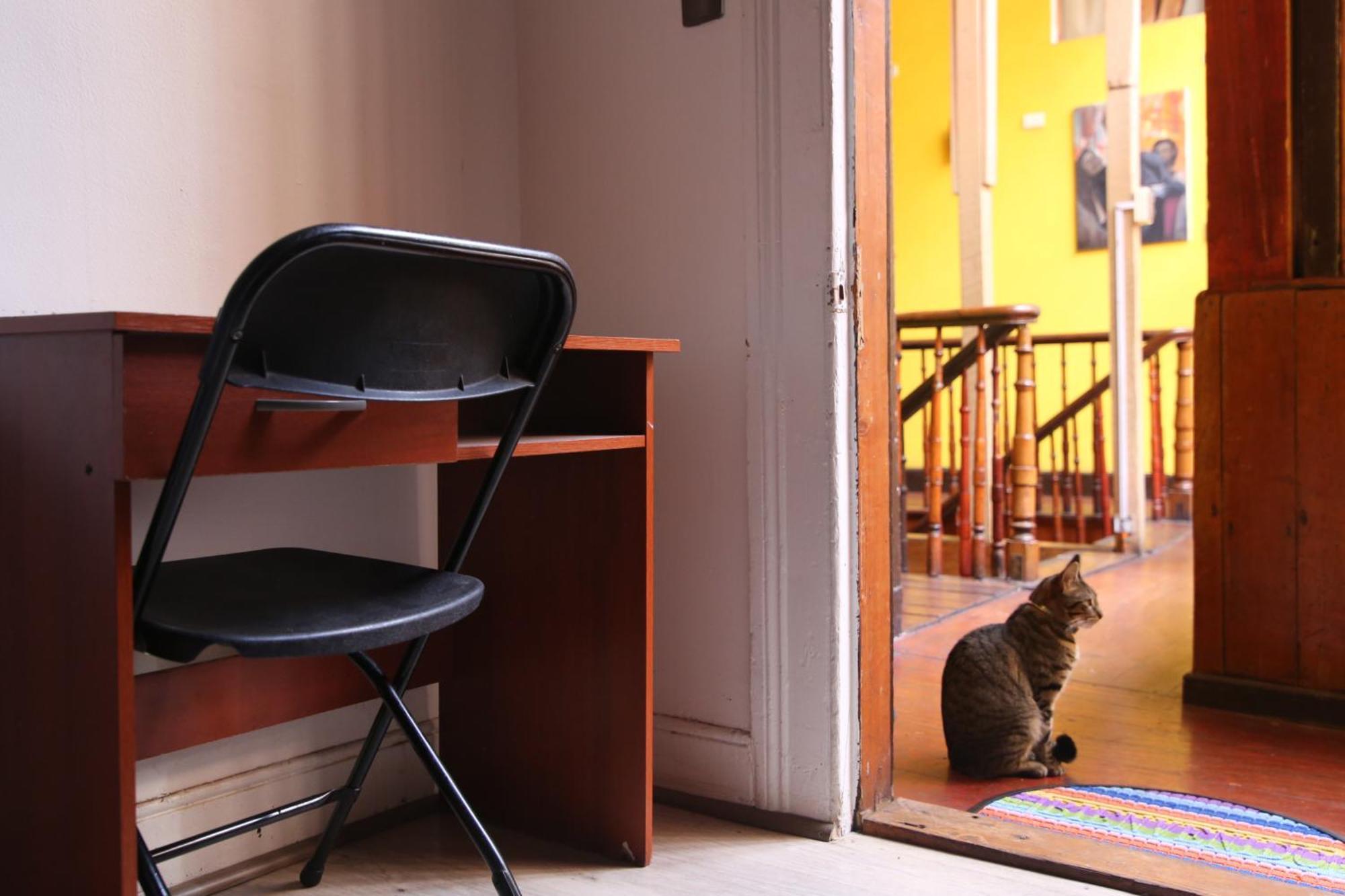La Casa Del Puerto, Hostal Cultural, Cerro Alegre Valparaíso Εξωτερικό φωτογραφία